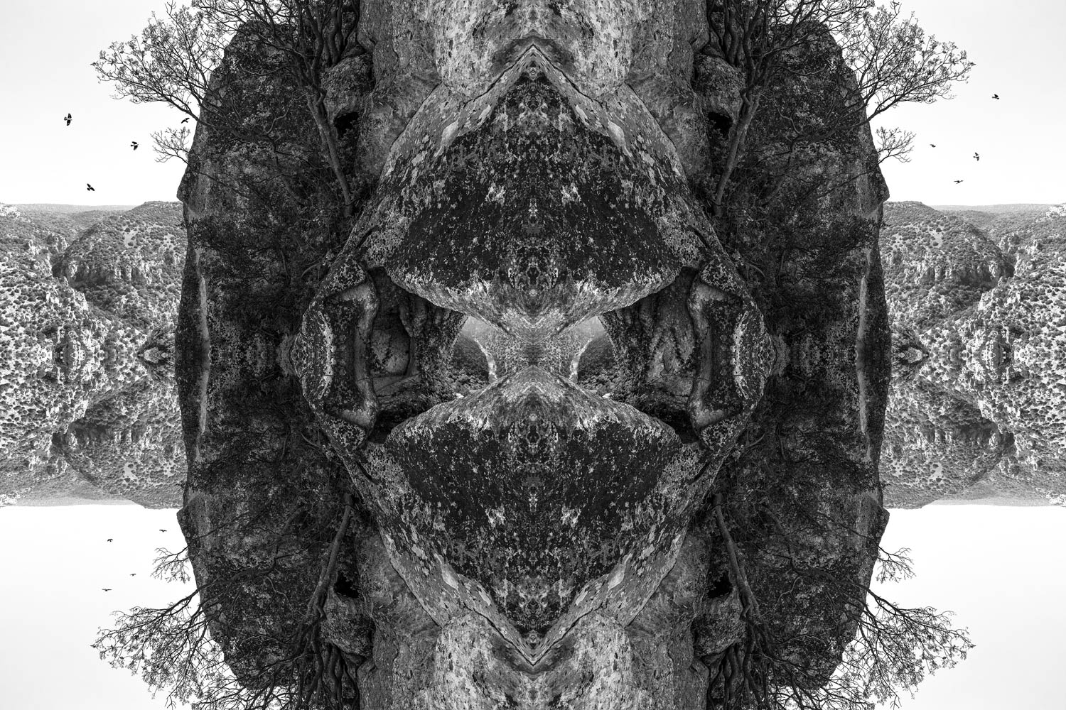 Mirrored ravine, rocks and trees forming an illusion