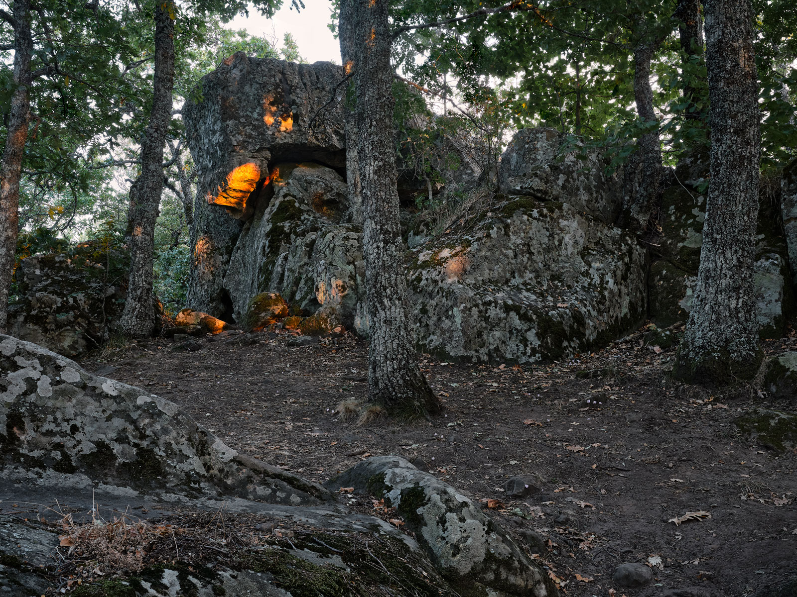 A spontaneous photograph made while travelling