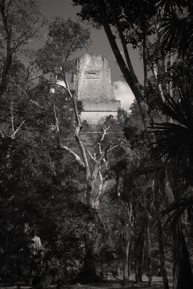 A spontaneous photograph made while travelling