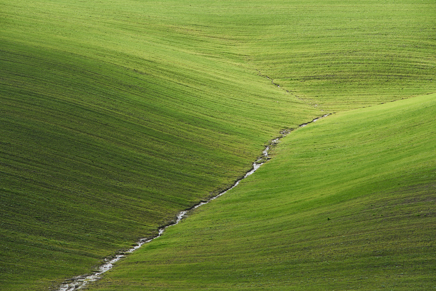 A spontaneous photograph made while travelling