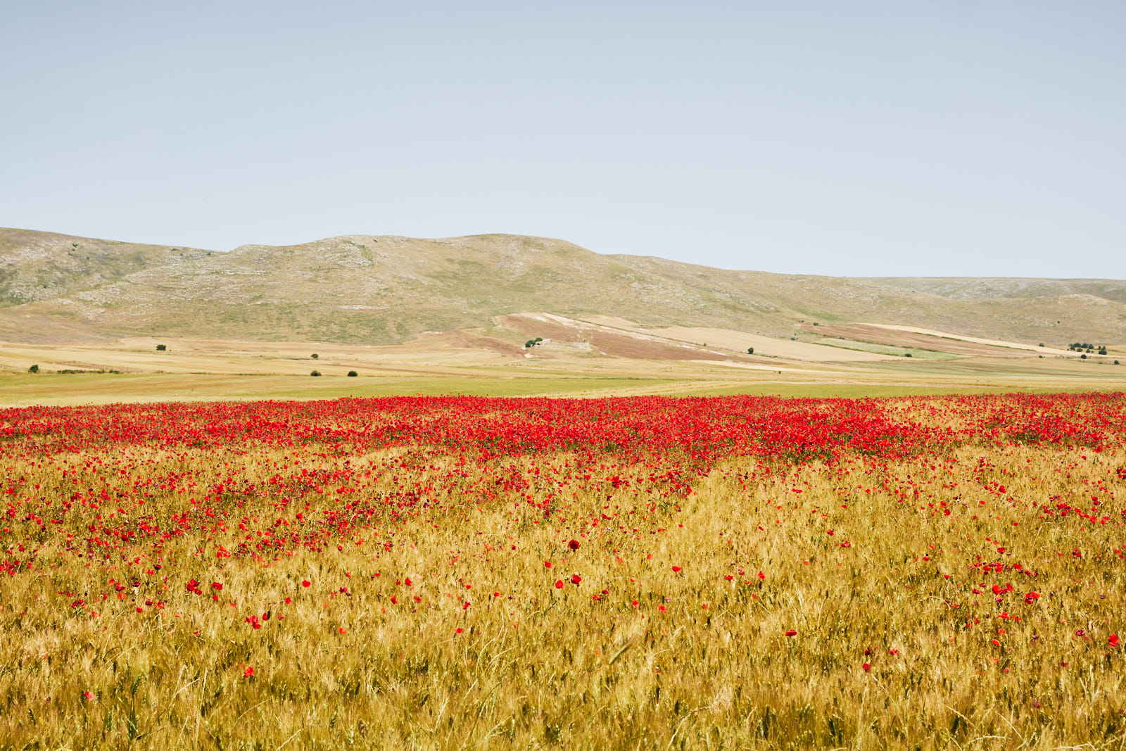 A spontaneous photograph made while travelling