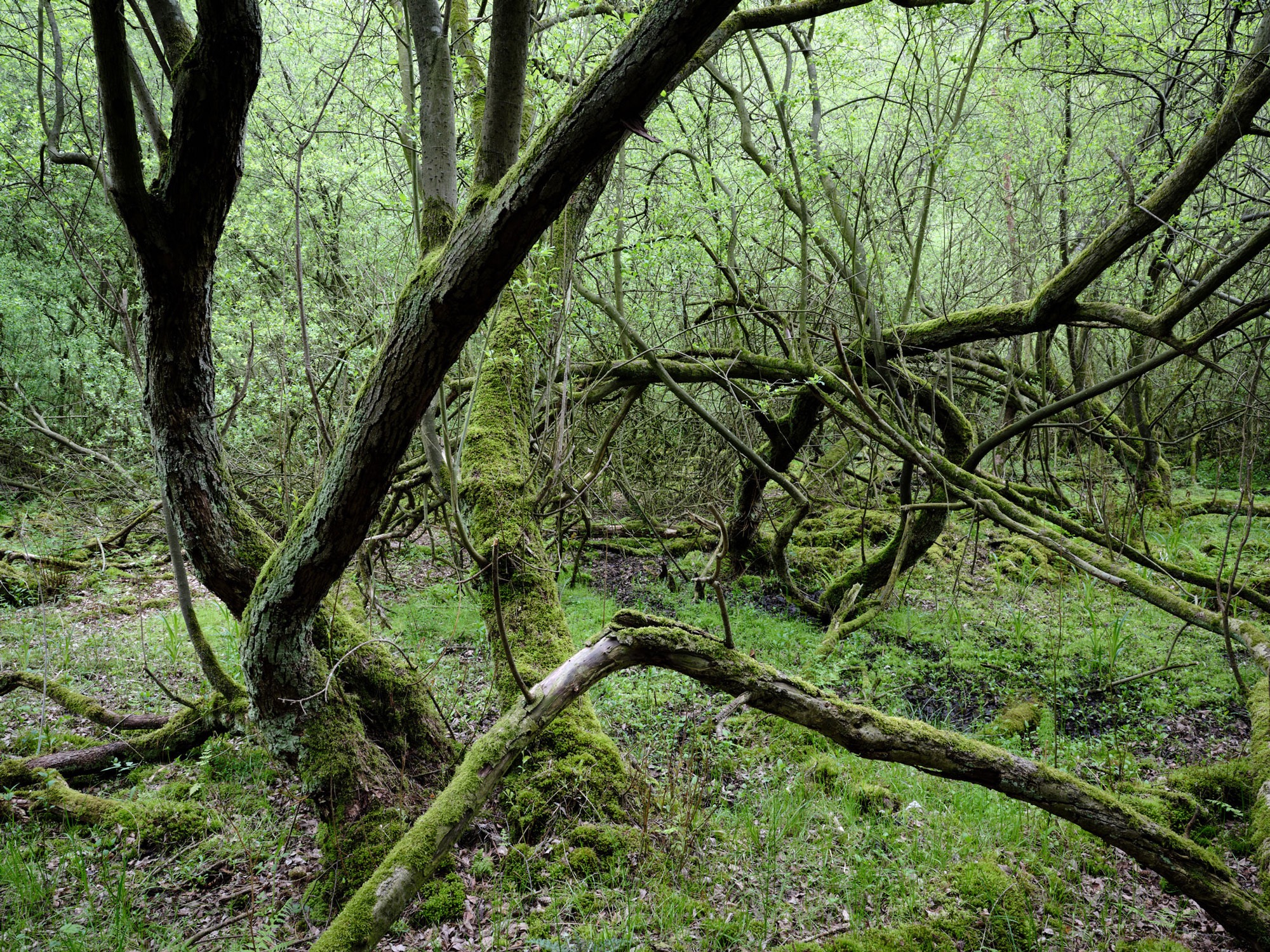 A spontaneous photograph made while travelling