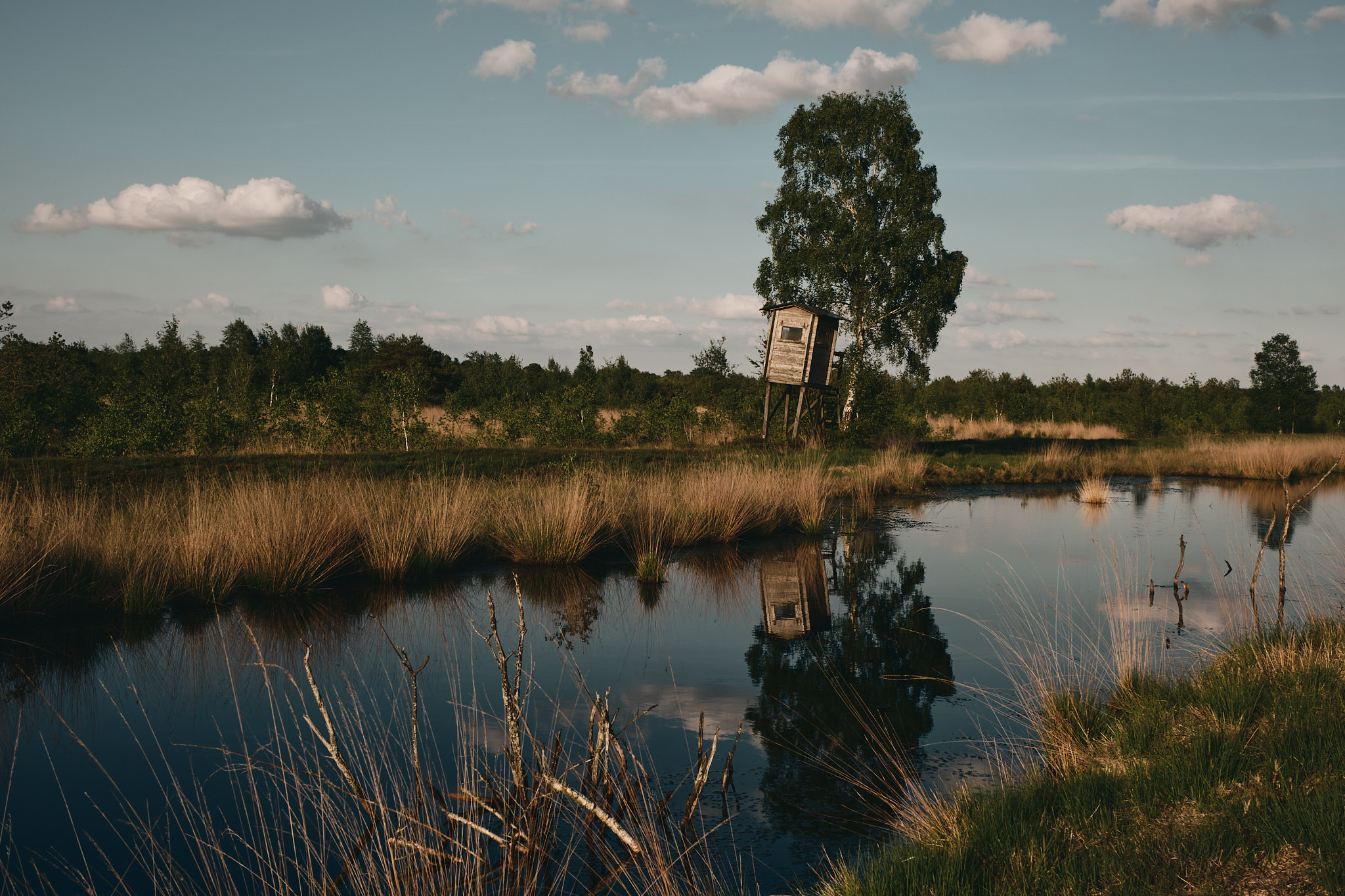 A spontaneous photograph made while travelling