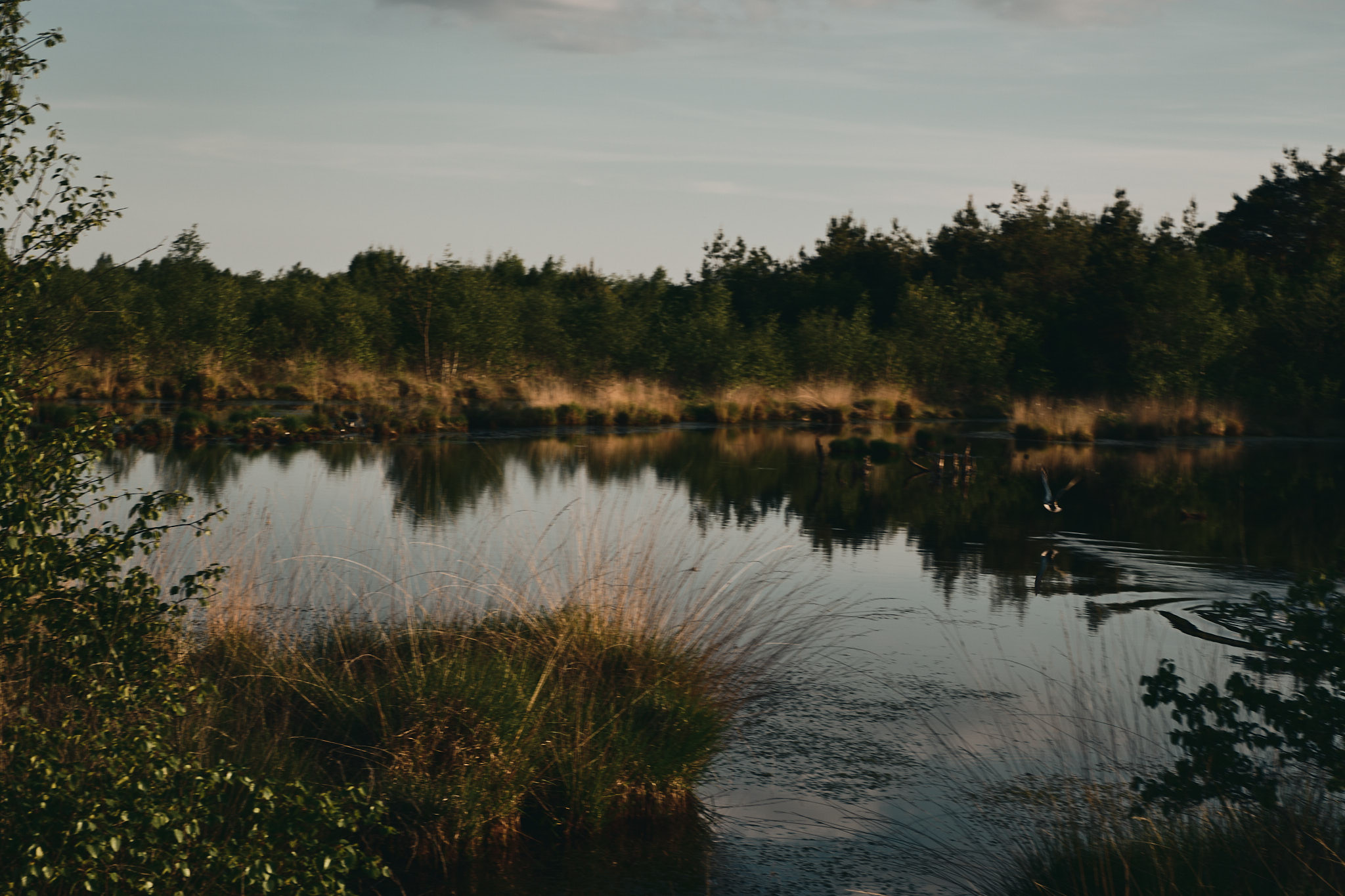 A spontaneous photograph made while travelling